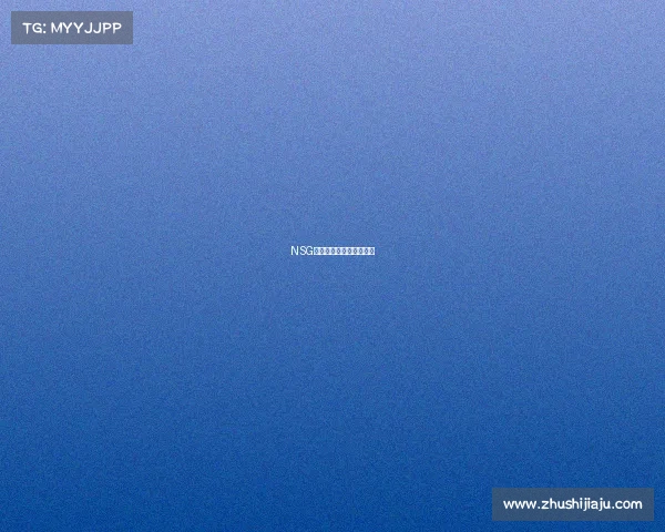 NSG新阵亮相,剑指联赛巅峰 NSG新阵亮相,剑指联赛巅峰